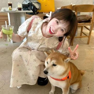 覆盖半球的谷物
